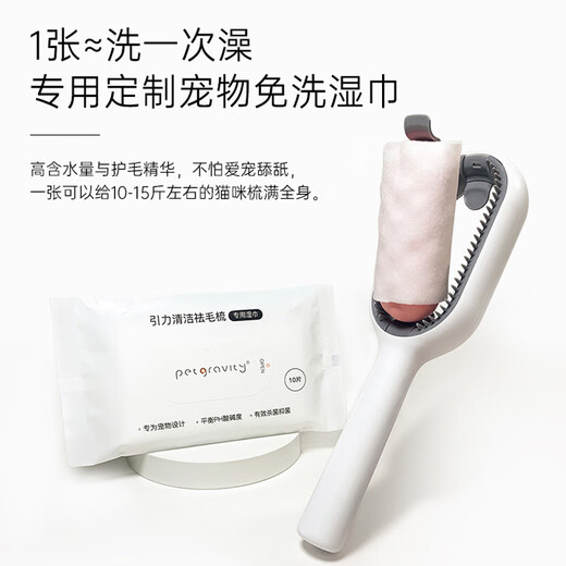 Qiaran Japanese pet electrostatic hair removal cat comb special defloating comb cat hair cleaner pet spray massage comb upgraded with water tank long hair blue 20ml no-wash essence + wet wipes