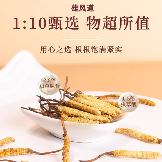 高端礼盒装冬虫夏草送长辈送领导滋补品藏区冬虫夏草干虫草50根 50根【3根一克】高端礼盒装