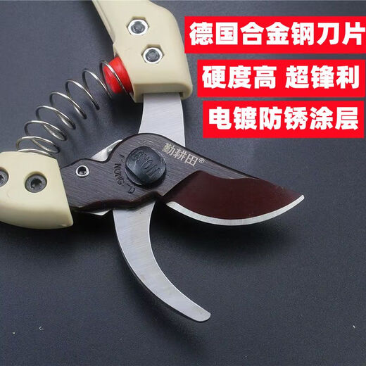 Sailotou 130S gardening pruning scissors household branch pruning shears steel garden fruit tree pruning scissors Qintian 130S 0S pruning shears