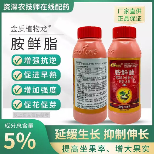 Golden Phytodragon 5% amine fresh ester fat expanded fruit coloring preserved flowers and fruit rooting and strengthening seedlings to increase chlorophyll pesticide plant growth regulator 500g