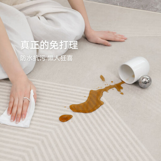 Luodaban Teppich Wohnzimmer 2025 Neues leichter Luxus-Sofa Bodenmatte ohne waschbare und löschbare Haushaltswasser wasserdichtes Schlafzimmer Dicke Tianjin Qingqiang-13566 300 cm*450 cm [Deckenoberflächenkleidung-resistent und langlebig]