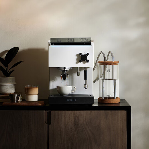 Petrus 3888pro Coffee Machine Hogar italiano Concentrando Semiautomático Oficina Comercial Pequeña máquina de leche de leche de leche Dual caldera de agua caliente Holy Holiday Space (