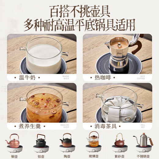 Bear Electric Ceramic Stove Mini Tea Stove Black Tea Old White Tea Pu'er Healthy Tea Stove Small Household Heating Multi-function Non-picking Pot Soft Cooking Surrounding the Stove for Tea DTL-J13Z5 with Teapot 1L