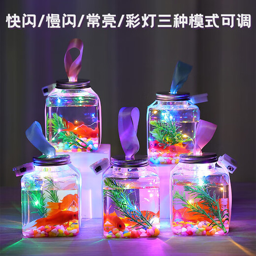 Canned fish stall artifact 500ml Internet celebrity square luminous small goldfish tank night light night market stall betta fish tank Square canned fish 1 set (5-piece set, fish not included)