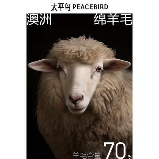 PEACEBIRD Men's Twill Wool Mid-Length Woolen Coat Men's Winter Loose Jacket Black Gray Batch M