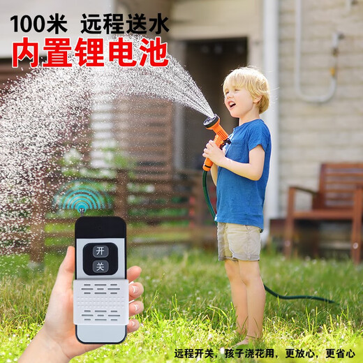 Rechargeable wireless remote control submersible pump for agricultural irrigation, vegetable watering pump, electric lithium battery water pump, watering artifact, special offer, 1 inch battery life, 1 hour - bare metal 12V