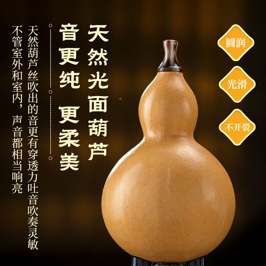 金孔雀乌木葫芦丝c调小学生专用初学者成年人降b调专业演奏级旗舰店乐器 【光面葫芦乌木音管】C调+赠品
