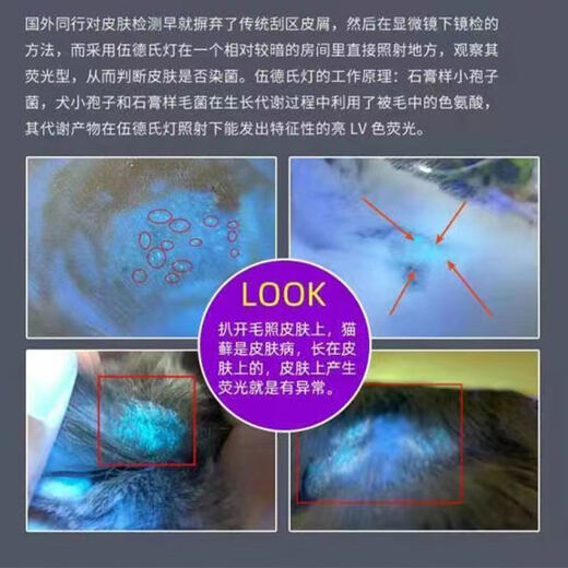 Smiling Shark Purple Light Flashlight Identification Special Identification Jade Banknote Inspection Tobacco and Liquor Test UV Flashlight 365nm 1 second Current] Extended Battery [9R9856L Super Bright