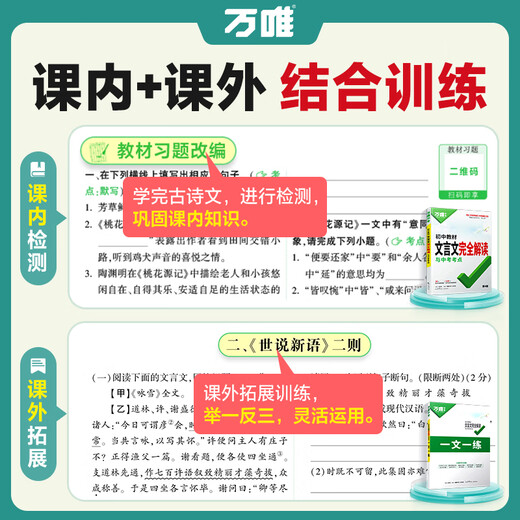 2025初中文言文完全解读2024一本通人教版语文专项教材初一初二初三八九七年级必背古诗词和文言文全解全练阅读训练万维 文言文完全解读全面讲解+检测练习 初中通用