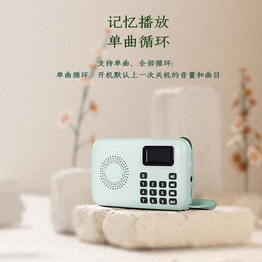 Shanyuan 916 MINI SMALT-PLAY CARDE PLAGE PLATER Song Player Music Machine haute définition Sound Quality Screen Chinese Display Screen (1396 pièces contenant une carte 16G)