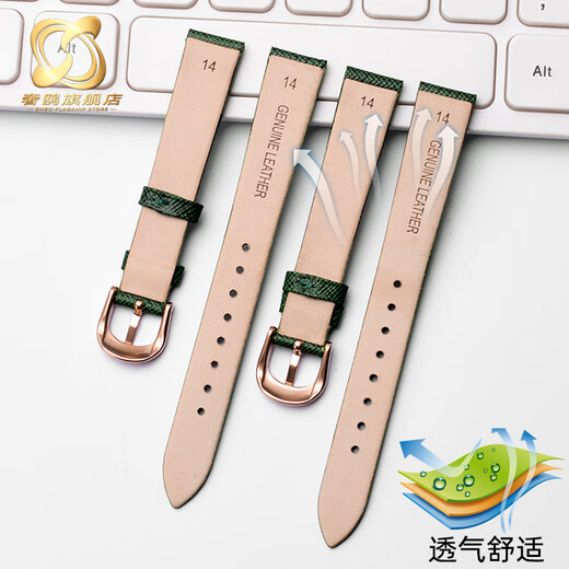 适用阿玛尼手表带AR1726 AR11149 AR11150男女表链墨绿色14mm配件 AR1726_AR11149_AR11150请直接 14mm