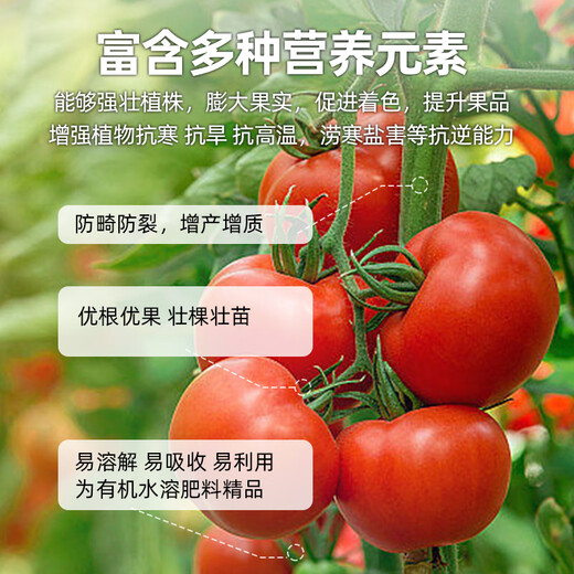 Haifa Kalif's explosive root vegetable and fruit fertilization powerful rooting and seedling water-soluble fertilizer barreled fertilizer explosive root multi-rooting agent