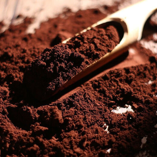 Tongrentang Broken Ganoderma Spore Powder Capsules Authentic Ganoderma Spore Oil Changbai Mountain Spore Powder Direct Supply from the Origin Limited Time Special Offer Buy Two Jin Jin Equivalent to 0.5kg Free Broken Spores