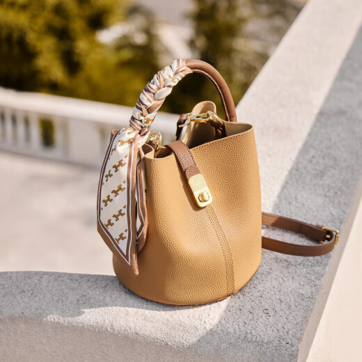 REESSY International Light Luxury Brand Bag Bolse para mujeres 2025 Nuevo bolso de hombro Bolsos cruzados para mujeres Bolso de bolso de bolso de bolsillo de albaricoque de albarico