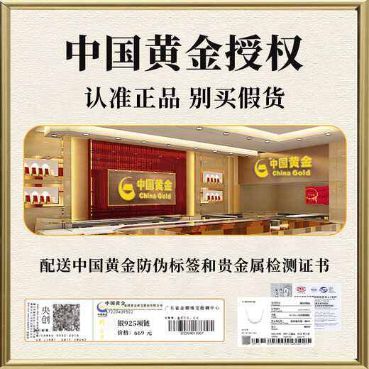 Central Chuang Fashion Chinese Gold and Silver Necklace Girls Clavicle Chain High-end Birthday Gift for Lady Girlfriend Girlfriend Best Friend S925