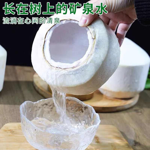 Guo Yishou Hainan Peeled Green Coconut, delivered to your home quickly, sweet and fresh coconut for pregnant women, fruit replenishing amniotic fluid, tender green coconut, coconut with skin, single fruit 3-5 Jin Jin is equal to 0.5 kg, about 2 pieces, free coconut opener + straw