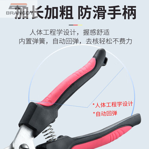 Brangdy hawthorn core remover stainless steel household pliers to remove seeds mini homemade candied haws making materials tools upgrade model - red + storage bag