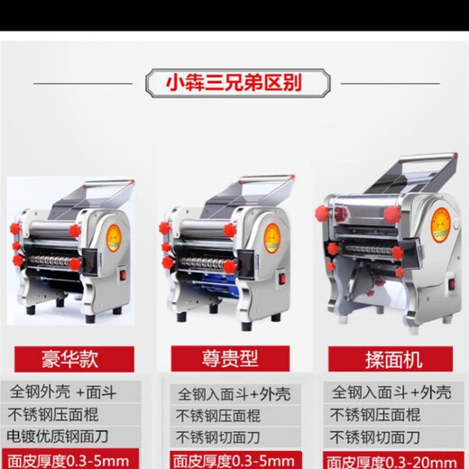 Baishuiwang Home Noodle Presse en acier inoxydable Electric Small Noodles Machine Multi-fonction commerciale Dumpling Chaos entièrement automatique Luxury Acier inoxydable-200 Type 370 Watts (couteau à rouleaux en acier)