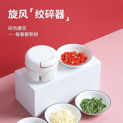 Ye Yu's household garlic press, manual garlic masher, garlic grinder, mini garlic grinder, garlic grinder, free ordinary model 1 pack without blades