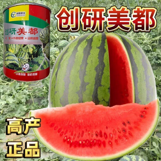Store hot selling Chuangyan Meidu watermelon seeds with thin skin and few seeds, large fruit Kirin Sweet King seeds early maturing canned Chuangyan Meidu Kirin watermelon seeds base original delivery 1 can of about 800 seeds directly supplied from the base