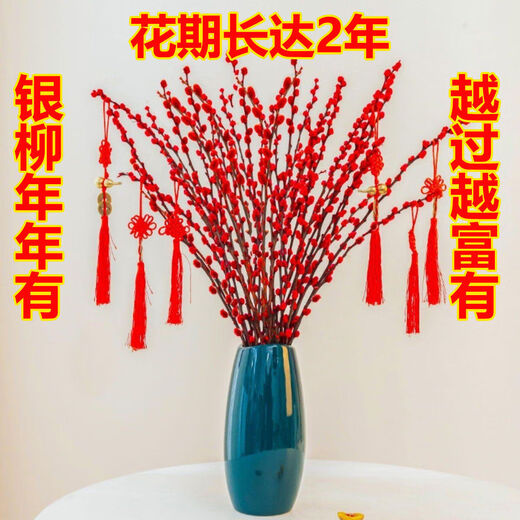【红色招财银柳】干花真花鲜枝耐寒年宵花水培花卉室内摆放装饰花 套装【60厘米20支+花瓶+2个灯笼