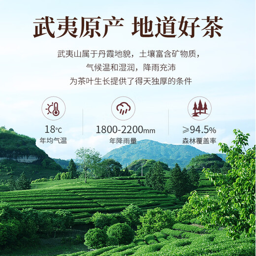孝文家茶乌龙茶红典武夷岩茶大红袍一级149.4g中轻火茶叶礼盒自饮