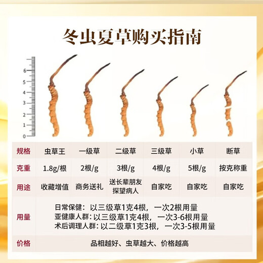 Guancai Rengui Cordyceps High-End-Geschenkbox Tonikum für Geschenke für Älteste neue getrocknete Cordyceps High-End-Nahrungsergänzungsmittel für ältere 2 Sticks/g 100 Gramm, insgesamt 200 Stöcke