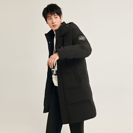 Fliegen im Schnee Herbst und Winter Orientalischer schlichter Luxusstil Modische lässige bequeme Silhouette Herren H-Typ bedruckter Stehkragen mit Kapuze und Daunen