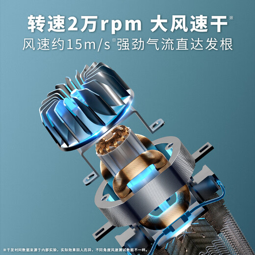 Fire Phoenix Hair Dryer Home Negative Ion High Power 2200W Hair Salon Special High Wind Quick Drying Barber Shop High Speed Constant Temperature Hair Care Does Not Damage Hair Low Noise Hair Dryer Blue Peacock 8960