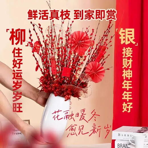 【红色招财银柳】干花真花鲜枝耐寒年宵花水培花卉室内摆放装饰花 套装【60厘米20支+花瓶+2个灯笼