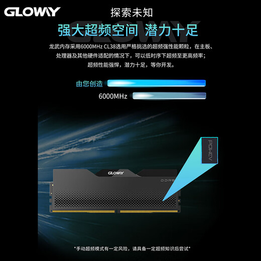 Gloway 32GB (16GBX2) DDR5 6000 Desktop Memory Longwu Vest Strip Samsung Granule CL38 Starry Sky Black