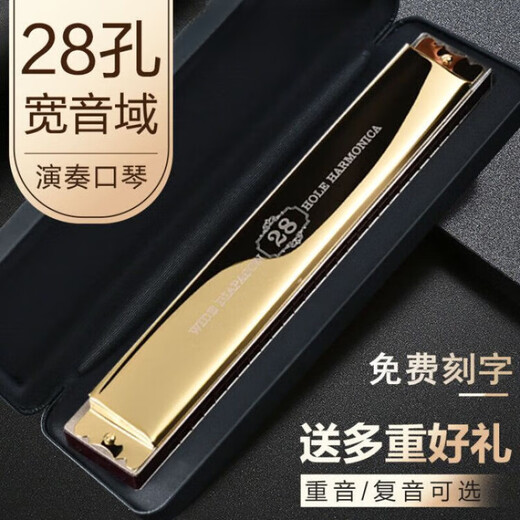 天鹅德国进口音簧28孔复音口琴专业演奏级重音高级成人初学者高档乐器 金色28孔重音C调+全套礼包