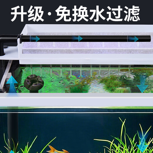 Changrui Small Fish Tank Small Desktop Living Room Household Glass No-Water Change Mini CR230+ Water Orchid Green Bamboo Scenery (Real Aquatic Plants)