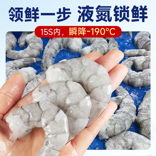 Fishing Travel Notes Qingdao Green Shrimp Net Weight 1.5 Jin Jin equals 0.5 kg Extra Large 61-80 pieces Frozen live peeled fresh shrimps with backs removed