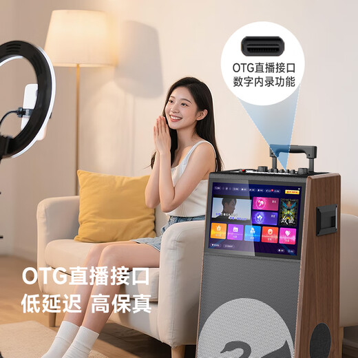 HiVi home KTV audio set outdoor square dance audio with display screen home TV karaoke special speaker karaoke machine microphone all-in-one machine MS129