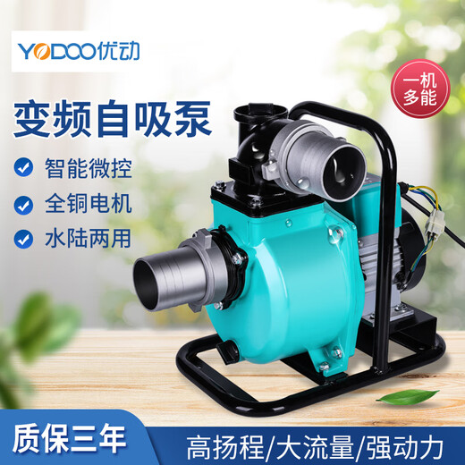 YouDong DC Electric Tubmersible Pumpe 48v60V72V Volt Elektrofahrzeug Wasserpumpe für landwirtschaftliche Haushalte Elektrische Batteriepumpe 1 Zoll Wasserpumpe 800W ohne Batterie 4872-0