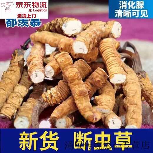 
Beijing Tongrentang [Black Friday] Authentic Cordyceps sinensis large broken grass meat more grass less Cordyceps nourishing health 40 grams of broken grass [20 grams of free