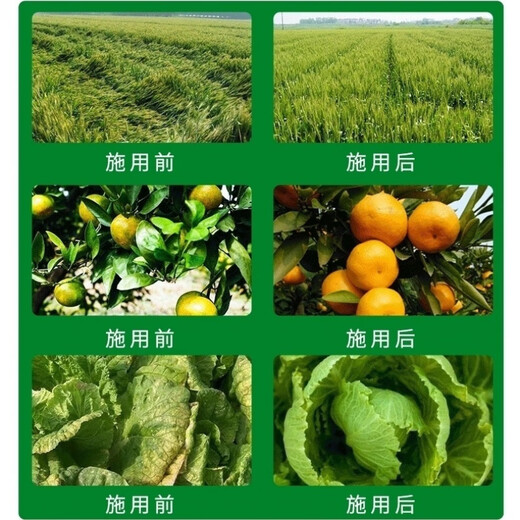 Liquid nitrogen fertilizer slow-release nitrogen fertilizer for wheat, corn and vegetables foliar fertilizer high nitrogen replacement for urea without top dressing slow-release liquid nitrogen 25 kg concentrated stock solution