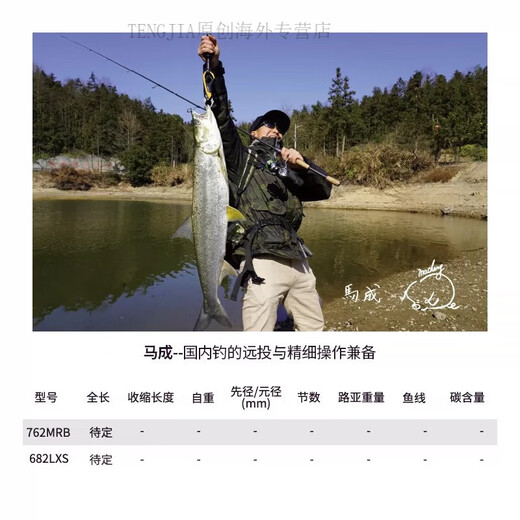 达亿瓦（DAIWA）ZILLION子龙竞技路亚竿套装远投翘嘴鲈鱼打黑路亚鱼杆 2.03m 常规款-682L/MLFB-ST枪柄a
