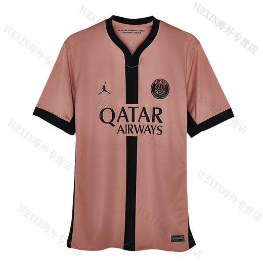 耐克（NIKE）2425巴黎二客球迷版球衣短袖足球服男子FQ2024-686 10#Dembl 登贝莱联赛印号球 L
