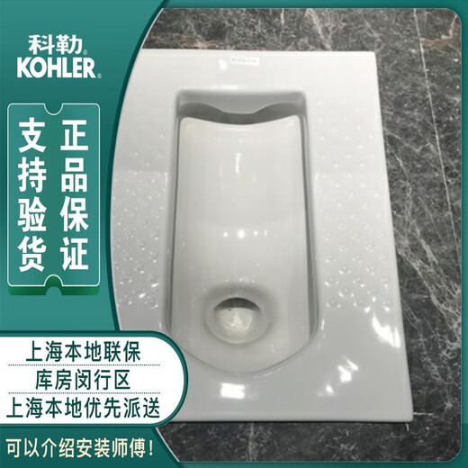 科勒（KOHLER）K-20441T-0K-20442T-0K-20443T-0巴尔顿蹲便器蹲坑商用 11978水箱+20443