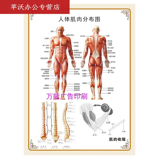 MPPMCK personal training program, this PT fitness program, this student signed textbook, yoga dance Pilates record book, customized personal training book style, 2 in one package (shipping from 10 books)