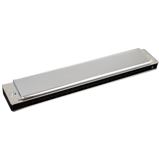 Tongbao Japón Tombo Tongbao Oficial de la armónica polifónica de 24 hoyos C Tune 6624S Pro Professional Performance Grado Placa de asiento de electroplacas A#/BB Tune