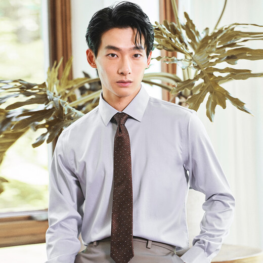 Angel Bird formal shirt men's high count no ironing autumn style men's business formal pure cotton commuting long-sleeved shirt men's moon shadow gray 41 (175/96)