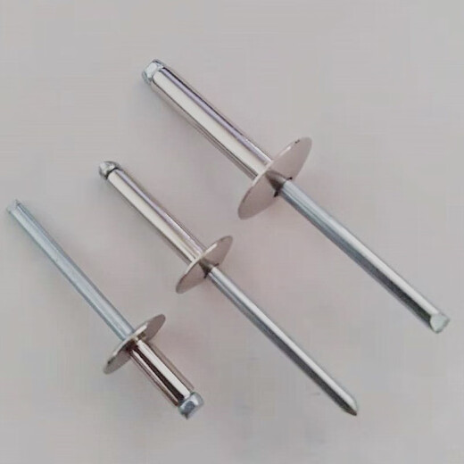 
Bingyu 304 stainless steel hat brim van type car open core pulling rivet Liuding willow nail big hat brim round head pull nail half steel 4*20*12250 pieces