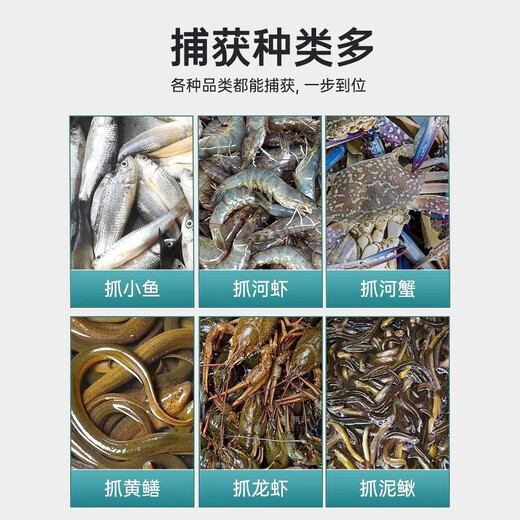 New thickened fish cage, shrimp net, fishing net, loach crab cage, small fish fishing net, fishing net fishing tool, fish and shrimp cage with four mouths in diameter 40cm, gift pack