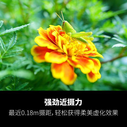 Tamron A063 28-75mm F/2.8 Di III VXD G2 second generation large aperture standard zoom mirrorless lens landscape portrait Nikon Z mount professional grade