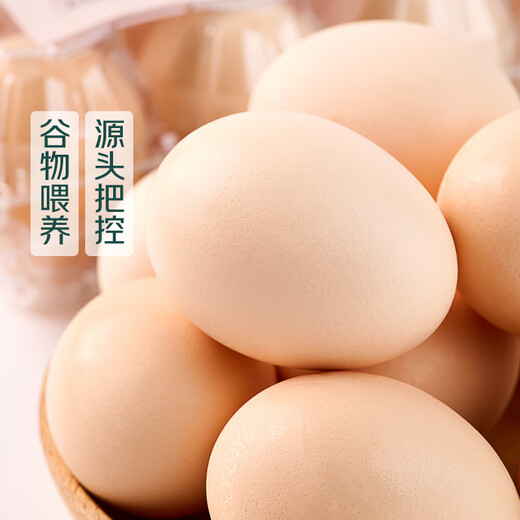 七鲜 安心无抗鲜鸡蛋10枚500g