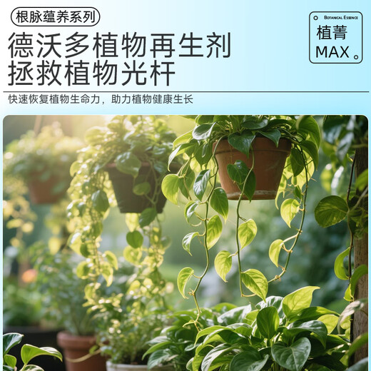 Dewoduo plant regeneration agent nutrient solution universal 6-pack hydroponic money tree flower fertilizer green plant flower rooting solution