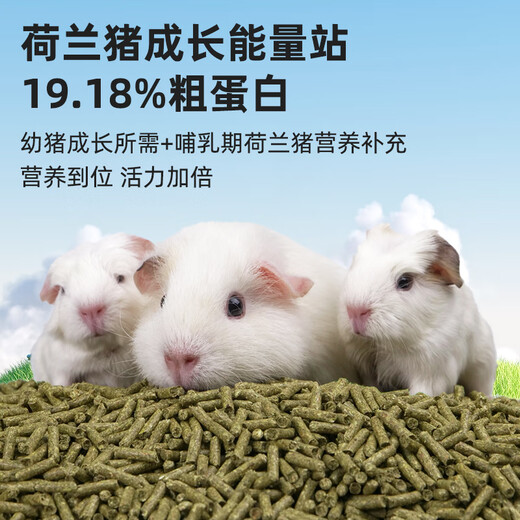 Cow pet full price blueberry Timothy guinea pig grain guinea pig feed guinea pig molar grain pet supplies 2.2kg